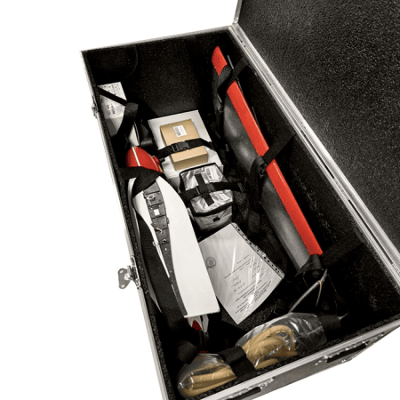 БЛА самолетного типа Phoenix 4 Multi 2